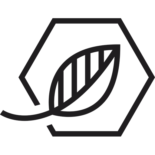 Beesonder_favicon